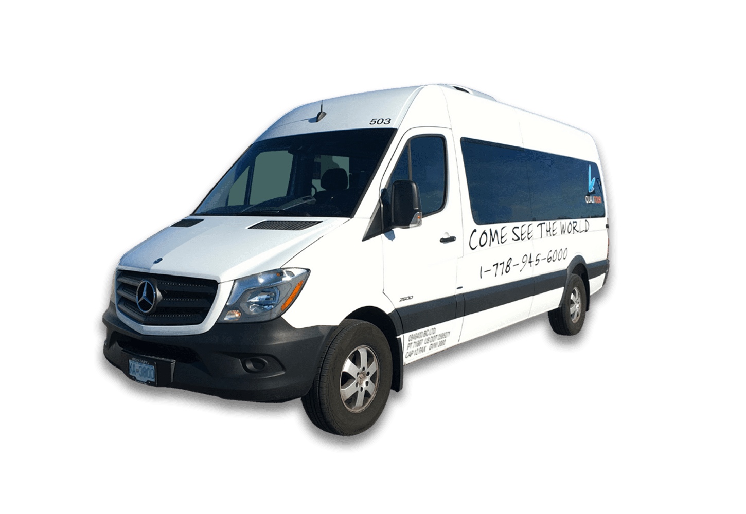 Mercedes Sprinter Van (Standard)